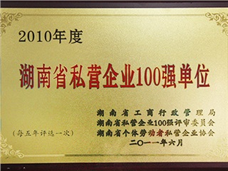 2010年度湖南省私营企业100强单位