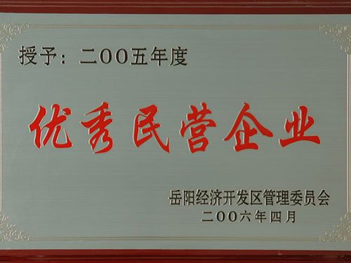 2005优秀民营企业