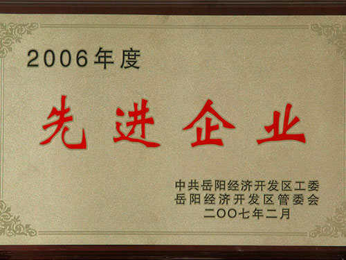 2006先进企业