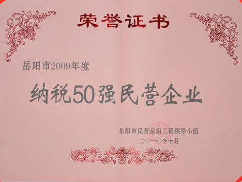 2009年岳阳市纳税50强民营企业